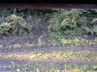 長野県菅平高原 ゆたか山荘 南側 2025/09/27 06:00