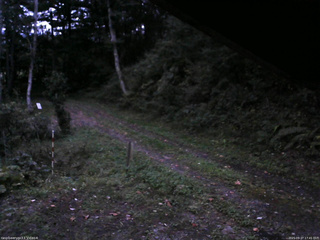 長野県菅平高原 ゆたか山荘 東側(坂下) 2025/09/27 17:45
