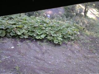 長野県菅平高原 ゆたか山荘 駐車場 2025/09/27 06:30