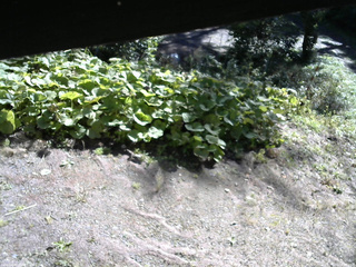 長野県菅平高原 ゆたか山荘 駐車場 2025/09/27 08:30