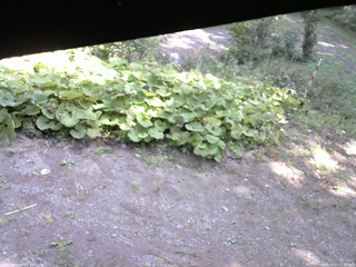 長野県菅平高原 ゆたか山荘 駐車場 2025/09/27 11:30