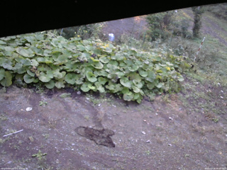 長野県菅平高原 ゆたか山荘 駐車場 2025/09/28 06:00