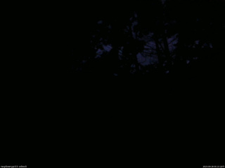 長野県菅平高原 ゆたか山荘 北側 2025/09/29 05:15
