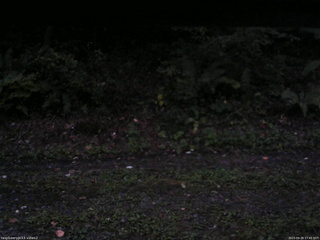 長野県菅平高原 ゆたか山荘 南側 2025/09/29 17:45