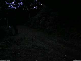 長野県菅平高原 ゆたか山荘 東側(坂下) 2025/09/29 05:30