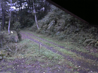 長野県菅平高原 ゆたか山荘 東側(坂下) 2025/09/29 05:45