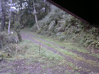 長野県菅平高原 ゆたか山荘 東側(坂下) 2025/09/29 06:15
