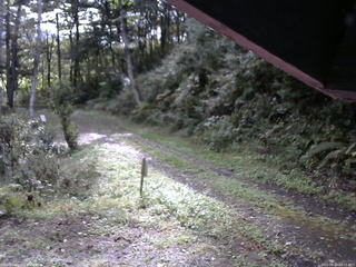 長野県菅平高原 ゆたか山荘 東側(坂下) 2025/09/29 08:15