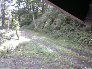 長野県菅平高原 ゆたか山荘 東側(坂下) 2025/09/29 09:15