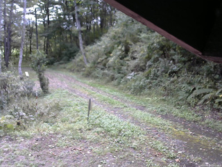 長野県菅平高原 ゆたか山荘 東側(坂下) 2025/09/29 10:15
