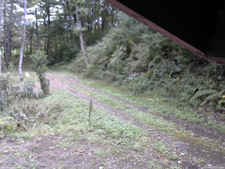 長野県菅平高原 ゆたか山荘 東側(坂下) 2025/09/29 10:30