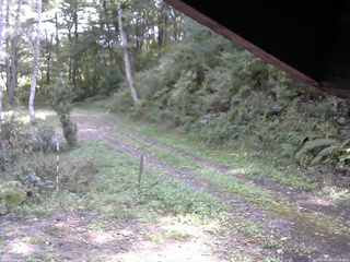 長野県菅平高原 ゆたか山荘 東側(坂下) 2025/09/29 11:30