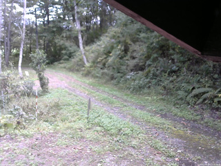 長野県菅平高原 ゆたか山荘 東側(坂下) 2025/09/29 13:30