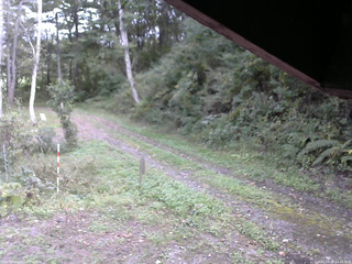 長野県菅平高原 ゆたか山荘 東側(坂下) 2025/09/29 14:45