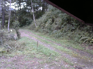 長野県菅平高原 ゆたか山荘 東側(坂下) 2025/09/29 17:00