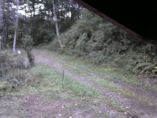 長野県菅平高原 ゆたか山荘 東側(坂下) 2025/09/29 17:15