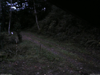 長野県菅平高原 ゆたか山荘 東側(坂下) 2025/09/29 17:45