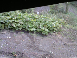 長野県菅平高原 ゆたか山荘 駐車場 2025/09/29 08:45