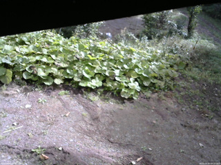 長野県菅平高原 ゆたか山荘 駐車場 2025/09/29 09:15