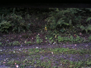 長野県菅平高原 ゆたか山荘 南側 2025/09/30 05:30