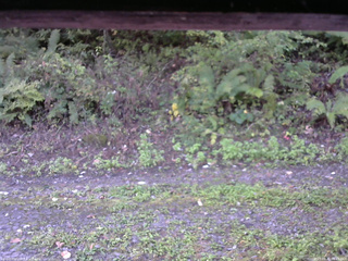 長野県菅平高原 ゆたか山荘 南側 2025/09/30 06:45