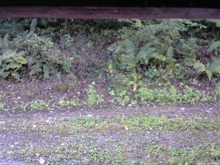 長野県菅平高原 ゆたか山荘 南側 2025/09/30 08:30