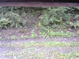 長野県菅平高原 ゆたか山荘 南側 2025/09/30 09:15
