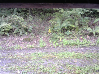 長野県菅平高原 ゆたか山荘 南側 2025/09/30 11:45