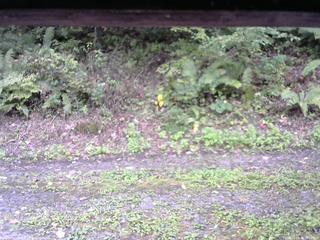 長野県菅平高原 ゆたか山荘 南側 2025/09/30 12:00