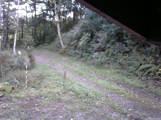 長野県菅平高原 ゆたか山荘 東側(坂下) 2025/09/30 08:30