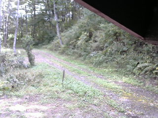 長野県菅平高原 ゆたか山荘 東側(坂下) 2025/09/30 12:45