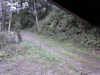 長野県菅平高原 ゆたか山荘 東側(坂下) 2025/09/30 17:00