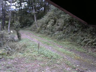 長野県菅平高原 ゆたか山荘 東側(坂下) 2025/09/30 17:15