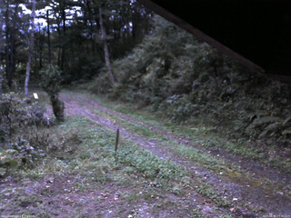 長野県菅平高原 ゆたか山荘 東側(坂下) 2025/09/30 17:30