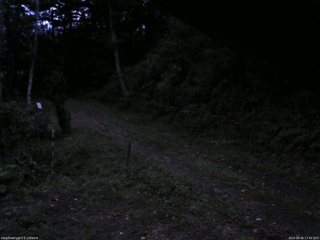 長野県菅平高原 ゆたか山荘 東側(坂下) 2025/09/30 17:45