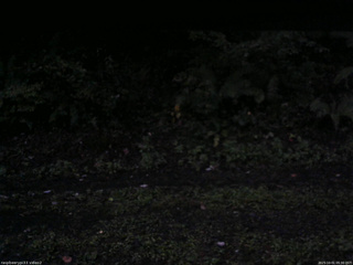 長野県菅平高原 ゆたか山荘 南側 2025/10/01 05:30