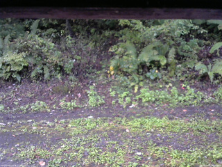 長野県菅平高原 ゆたか山荘 南側 2025/10/01 06:00