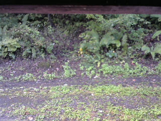 長野県菅平高原 ゆたか山荘 南側 2025/10/01 06:30