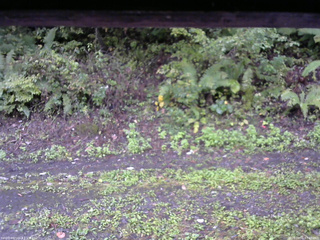 長野県菅平高原 ゆたか山荘 南側 2025/10/01 07:30