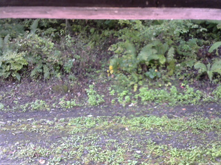 長野県菅平高原 ゆたか山荘 南側 2025/10/01 08:00