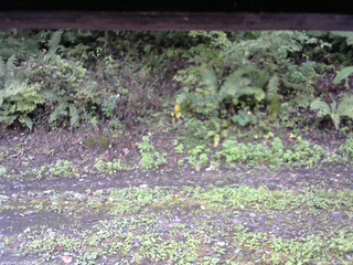 長野県菅平高原 ゆたか山荘 南側 2025/10/01 09:00
