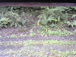 長野県菅平高原 ゆたか山荘 南側 2025/10/01 09:30