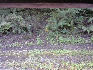 長野県菅平高原 ゆたか山荘 南側 2025/10/01 09:45