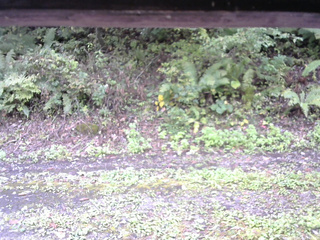 長野県菅平高原 ゆたか山荘 南側 2025/10/01 10:15