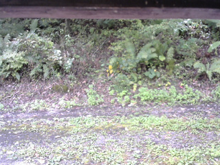 長野県菅平高原 ゆたか山荘 南側 2025/10/01 11:00