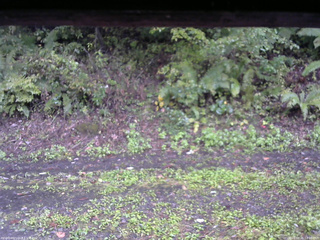長野県菅平高原 ゆたか山荘 南側 2025/10/01 12:00