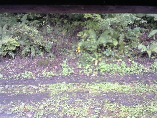長野県菅平高原 ゆたか山荘 南側 2025/10/01 13:00