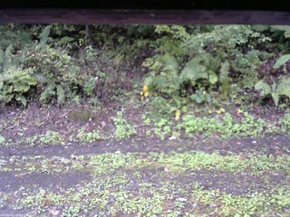 長野県菅平高原 ゆたか山荘 南側 2025/10/01 13:15