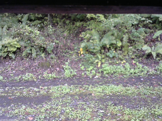 長野県菅平高原 ゆたか山荘 南側 2025/10/01 13:45