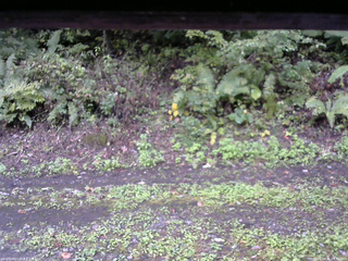 長野県菅平高原 ゆたか山荘 南側 2025/10/01 14:30